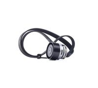 GATES K016PK1198 Kit Cinghie Poly-V per RENAULT CLIO II (BB0/1/2, CB0/1/2)