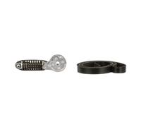 Kit Cinghie Poly-V GATES K016PK803EST per SMART FORTWO Coupé (451)