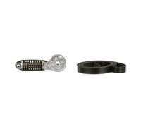 Set di cinghie Poly-V GATES K016PK803EST