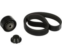 GATES K017PK1035 Kit Cinghie Poly-V per RENAULT