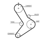 GATES K025334XS KIT CINGHIE DENTATE