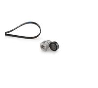 GATES K025PK848 Kit Cinghie Poly-V per VOLVO C30, VOLVO C70, VOLVO S40