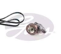 Gates Kit Cinghie Poly-V K025PK885 - EPDM - per Toyota Avensis T25 (2003-2008)