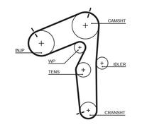 GATES K035462XS Kit cinghie dentate per FIAT,LANCIA