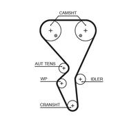 GATES K035581XS Kit cinghie dentate per CITROËN,PEUGEOT