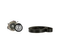 GATES K036PK1750 Kit Cinghie Poly-V per RENAULT