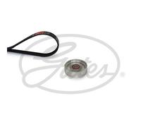 GATES K046PK955 Kit Cinghie Poly-V per NISSAN Micra