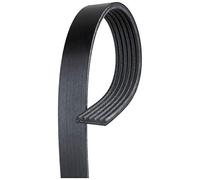 Gates K060980 - Cinghia di trasmissione a serpentina Micro-V