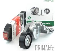 Gates Keilrimmen + Ina Tenditore per Audi A3 VW Golf V Passat Touran 1.9 2.0 Tdi