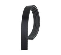 Cinghia trapezoidale multirighe 5PK1495 GATES per ROVER 800 800 Hatchback