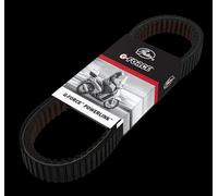 GATES PL31039 Cinghia trapezoidale trasmissione Variomatik nero