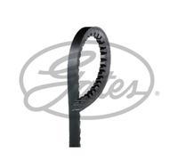GATES Poly-V Cinghia Trapezoidale Cintura a Costine per Citroen C15 Vd- _ Kombi