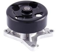 GATES Pompe Dell'Acqua WP0196