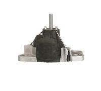 GATES Supporto motore per RENAULT CLIO II (BB0/1/2, CB0/1/2) ETM1616