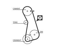 GATES T262RB Cinghia dentata per AUDI,SEAT,VW