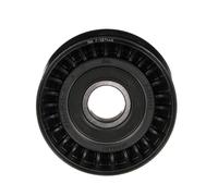 GATES Galoppino guidacinghia, cinghia Poly-V