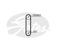 Cinghia di distribuzione GATES GATT364HOB