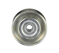 GATES T36669 Galoppino guidacinghia, cinghia Poly-V