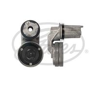 GATES T36790 Galoppino guidacinghia, cinghia Poly-V