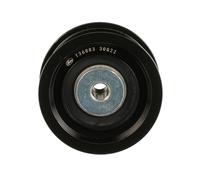 GATES T36883 Galoppino guidacinghia, cinghia Poly-V