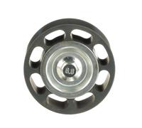 GATES T36919 Galoppino guidacinghia, cinghia Poly-V