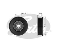 GATES T38031 Galoppino/Guidacinghia, Cinghia Poly-V per LEXUS,TOYOTA