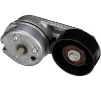 GATES T38279 Tendicinghia, Cinghia Poly-V per DAIMLER,FORD,FORD AUSTRALIA,FORD U