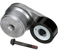 Tendicinghia multirighe T38509 GATES