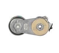 GATES T38674 Tenditore cinghia servizi
