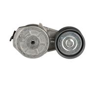 GATES T38729 Tenditore cinghia servizi