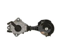 GATES T38770 Tenditore cinghia servizi