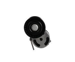 GATES T39010 Rullo tenditore cinghia Poly-V