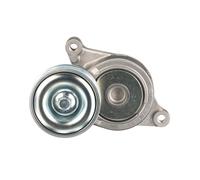 GATES T39103 Rullo tenditore cinghia Poly-V Rullo tendicinghia Puleggia tendicinghia Rullo tenditore cinghia