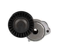 GATES T39116 Rullo tenditore cinghia Poly-V Rullo tendicinghia Puleggia tendicinghia Rullo tenditore cinghia