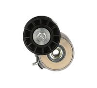 GATES T39137 Tenditore cinghia servizi