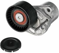 Gates Tendicinghia T39251 – Cinghia Poly-V per Fiat, Mercedes-Benz, Nissan, Opel, Renault