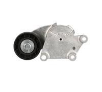 Gates Rullo tenditore cinghia Poly-V T39379 DriveAlign per Ford Volvo