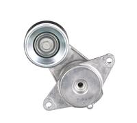GATES T39413 Tenditore cinghia servizi
