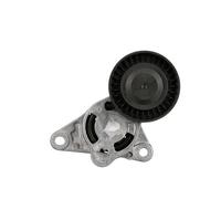 GATES T39454 Tenditore cinghia servizi