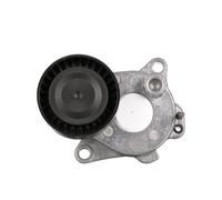 GATES T39495 Tenditore cinghia servizi