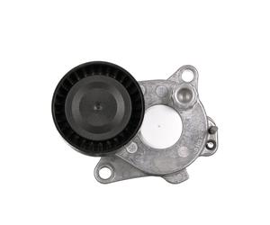 GATES T39495 Tenditore cinghia servizi