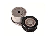 Gates T39513 Tenditore Cinghia A V Per Ford Fiesta VII Focus IV