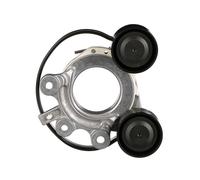 GATES T39531 Tenditore cinghia servizi