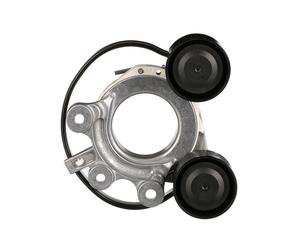 GATES T39531 Tenditore cinghia servizi