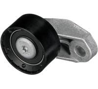 GATES T42343 Galoppino/Guidacinghia, Cinghia dentata per AUDI,CUPRA,SEAT,SKODA,V