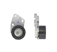 GATES PowerGrip Tenditore T43039