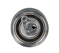 GATES PowerGrip Tenditore T43219