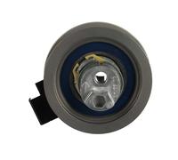 GATES PowerGrip Tenditore T43242