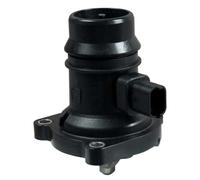 TER432 Termostato raffreddamento (MARCA-MALO')