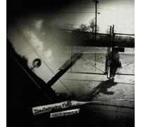 Gathering Field,the - Lost in America